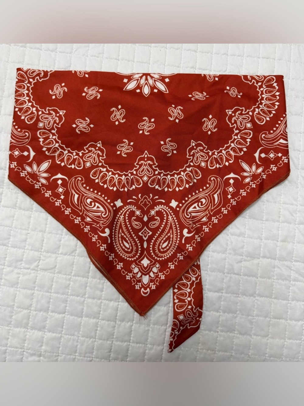 SHEIN Red Paisley Bandana Crop Top Y2K Festival Scarf Top